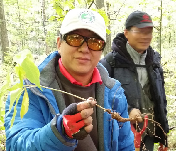 威斯康辛秋色行：深山密林挖野参